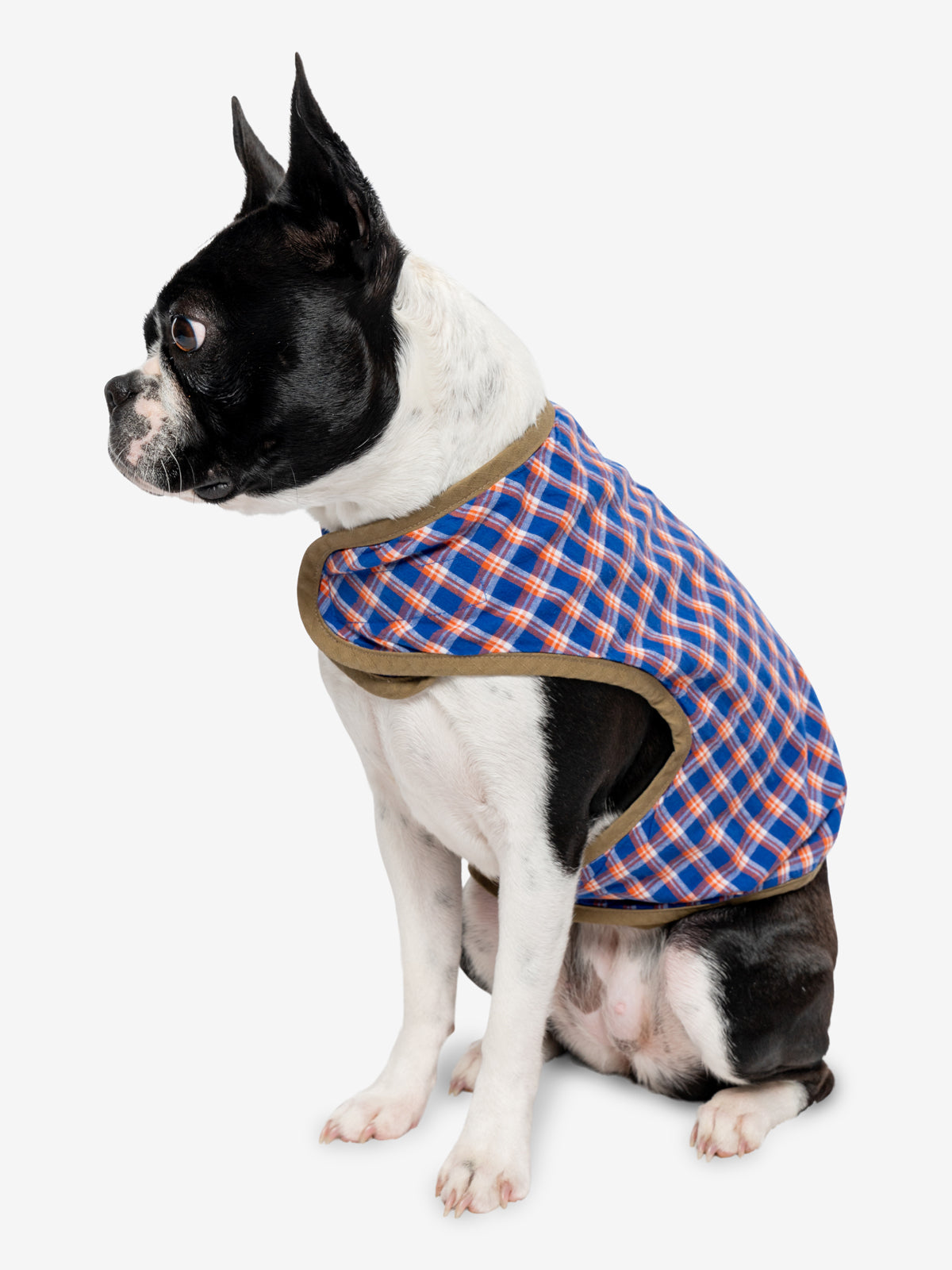 トップス Insect Shield Mesh Vest Insect Repellent Trail Dog Vest – Insect Shield